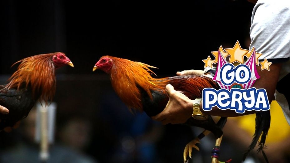 sss example slot register free 100